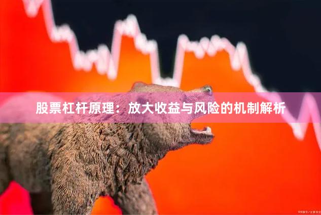 股票杠杆原理：放大收益与风险的机制解析